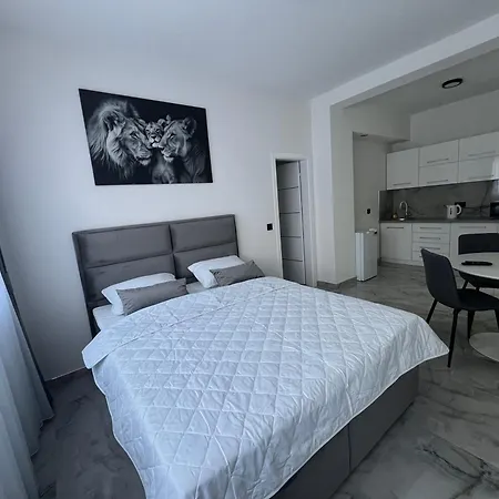 Apartment Mam U Centru Zivinica Free Parking